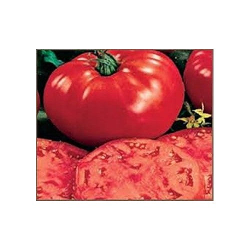 Heirloom Red Tomato Seeds for Planting [neera-v5-1d2b10303323fcf7a1a7]
