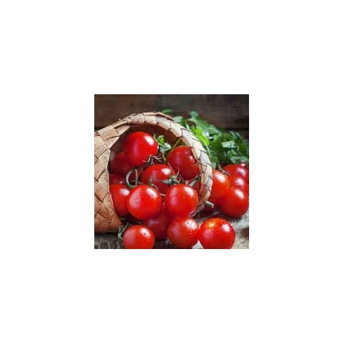 Red Tomato Seeds for Planting [neera-v5-1d7f999d4be920dc1db9]