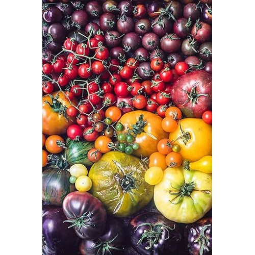 Multi-Color Tomato Seeds for Planting [neera-v5-1eae7808985be89a8ed0]