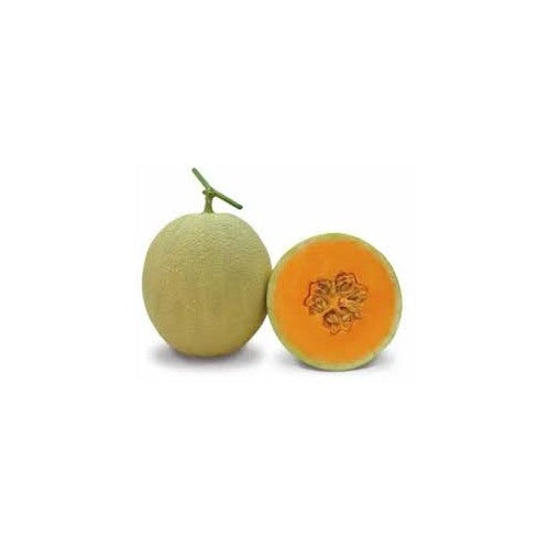 Muskmelon Fruit Seeds for Planting [neera-v5-1fb58bec983398c2306a]