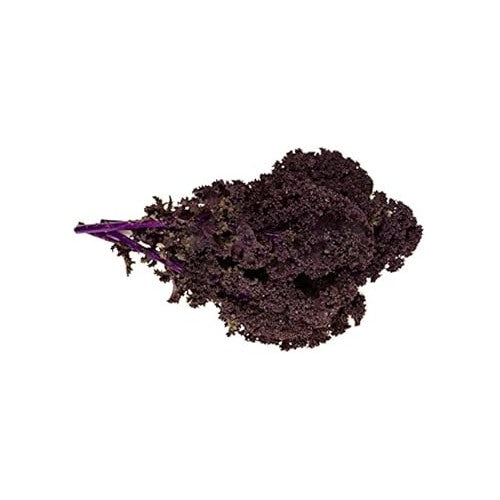 Red Veins Scarlet Kale Seeds for Planting [neera-v5-1fde47aace8ef47efdee]