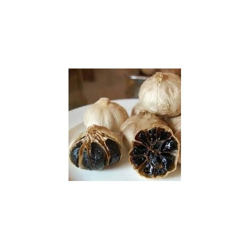 Black Garlic Herb Seeds for Planting [neera-v5-205c2e1477b3a968e449]
