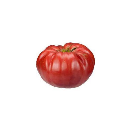 Light Red Giant Tomato Seeds for Planting [neera-v5-20acc27b11f620e0678b]