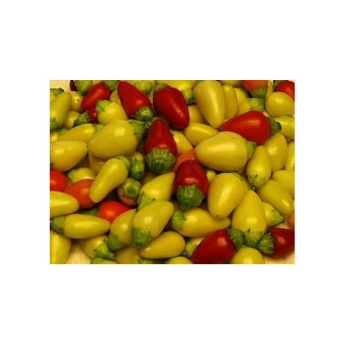 Cascabella Hot Pepper Seeds for Planting [neera-v5-21b79e8f8d0f4c9456a1]