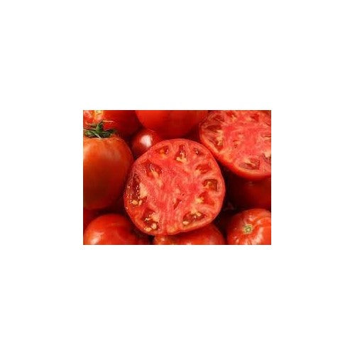 Tomato Seeds for Planting [neera-v5-223a0eeea4070af21b36]