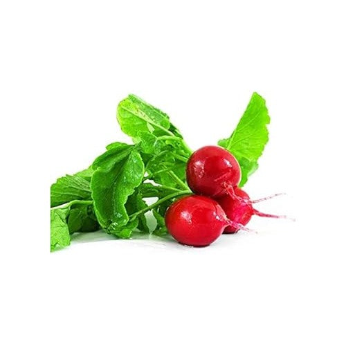 Red Radish Seeds for Planting [neera-v5-2245c0cc3f489f360f21]