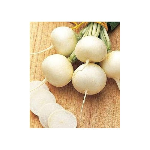 Heirloom Non-GMO White Radish Vegetable Seeds for Home Garden Planting [neera-v5-22cdddbfb5731620cc1d]