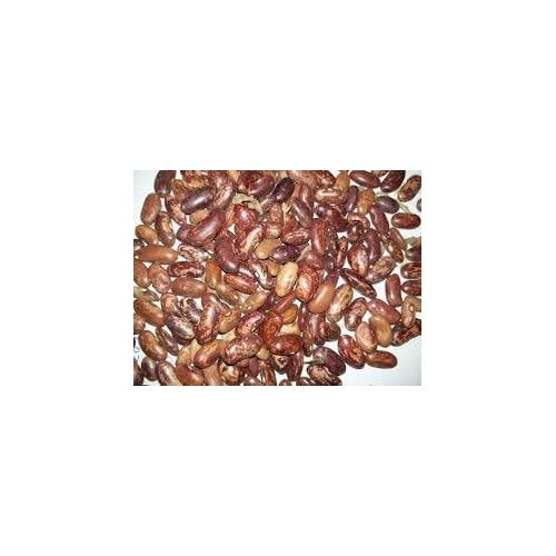 Bush Lima Bean Seeds for Planting [neera-v5-23391322b0e029461c18]