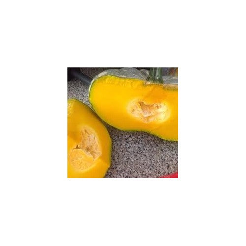 Candy Roaster Vegetable Seeds for Planting [neera-v5-239b1598252477087470]