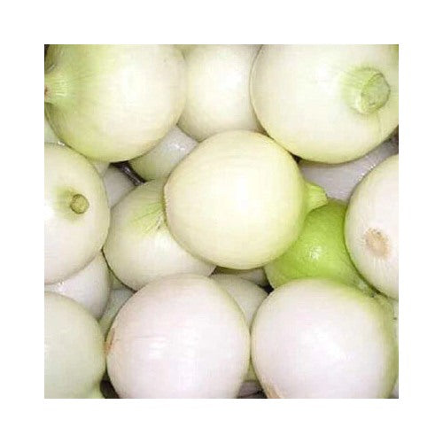 White Yellow Pearl Wax Pearl Onion Small Sweet Greens Garden Vegetable Heirloom Non Gmo Fragrant [neera-v5-23ca0a164f6af7d07e50]
