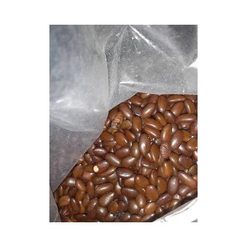 Chinese Honey Locust Tree Planting Gleditsia Sinensis Soap Bean Heirloom Non Gmo Flower Seeds [neera-v5-23ebe332345aed1c3f79]