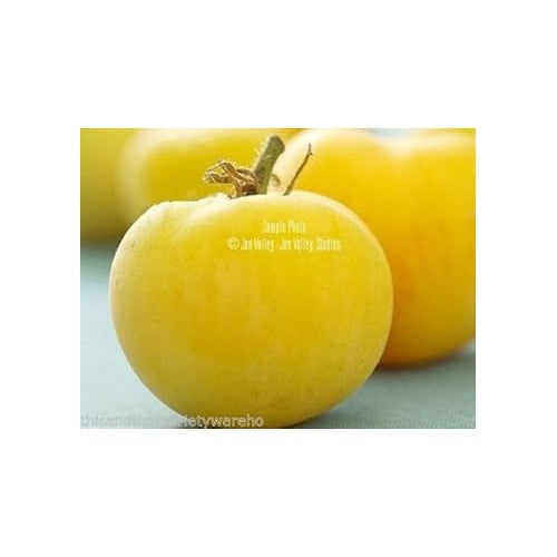 Yellow Tomato Seeds for Planting [neera-v5-23f0e03e0040871882d0]