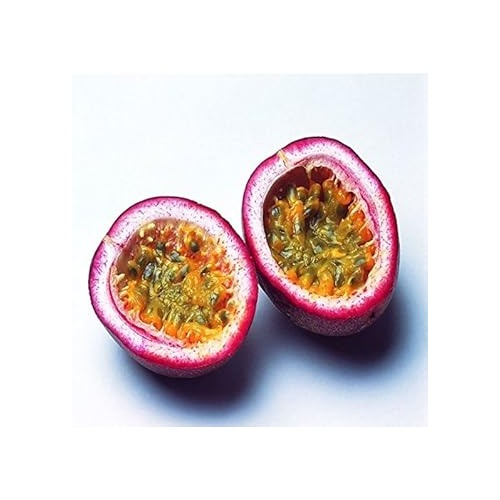 Pink Passion Fruit Seeds for Planting [neera-v5-243e7cf8f527f1e1e5fc]
