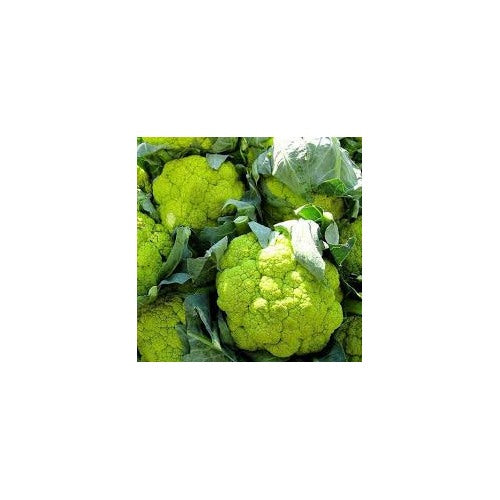 Green Cauliflower Seeds for Planting [neera-v5-250af9b70d99ab9ed90b]