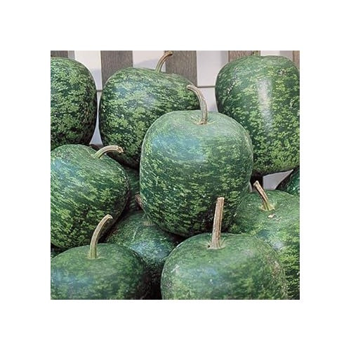 Speckled Apple Fruit Seeds for Planting [neera-v5-2576dfbfaf94d047d2fe]
