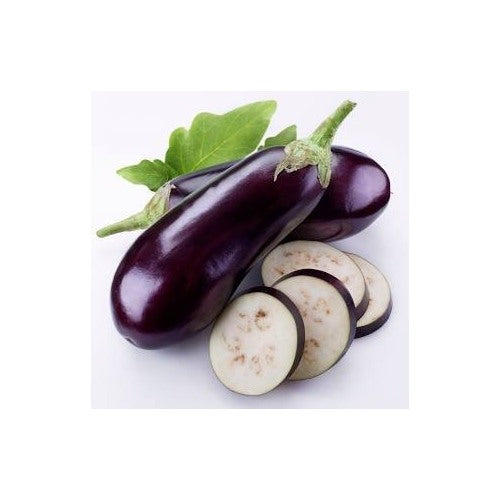 Organic Eggplantor Aubergine Zora Seeds for Planting [neera-v5-25a509953076383eb16a]