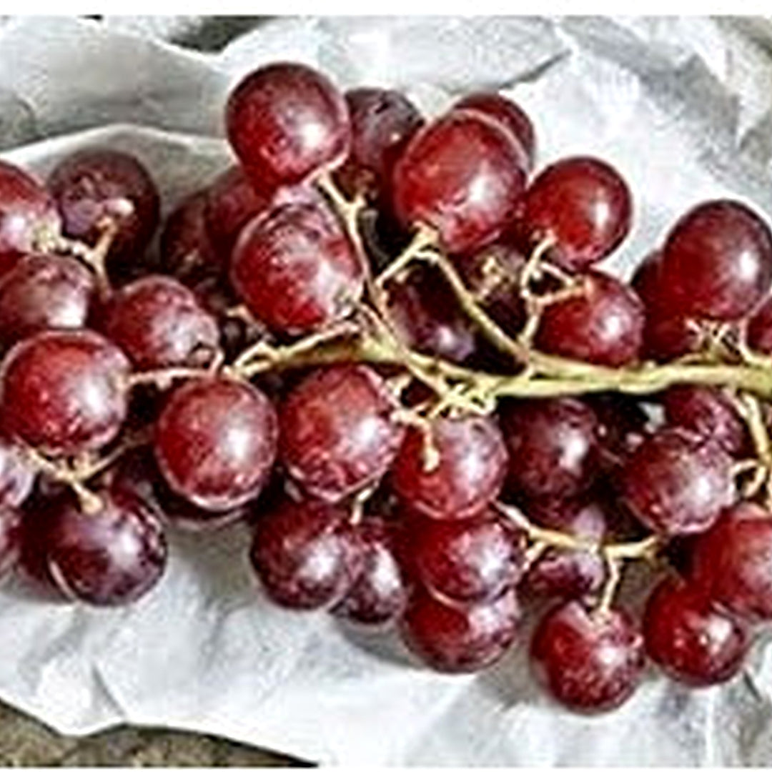 Grape Fruit Seeds for Planting [neera-v5-265e906aed28631de25f]