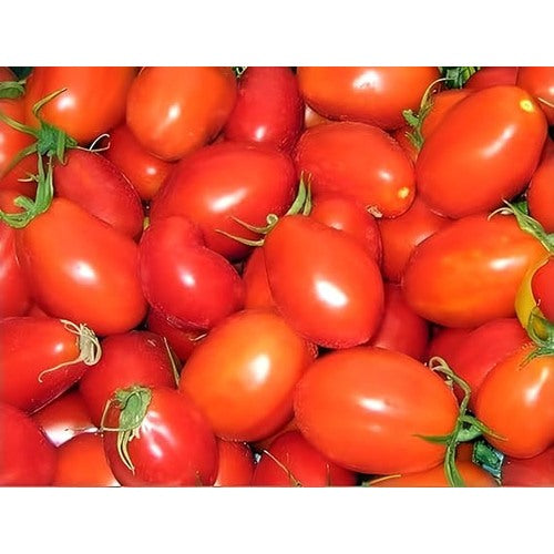 Purple Red Tomato Seeds for Planting [neera-v5-2667dd3e6759194507d8]