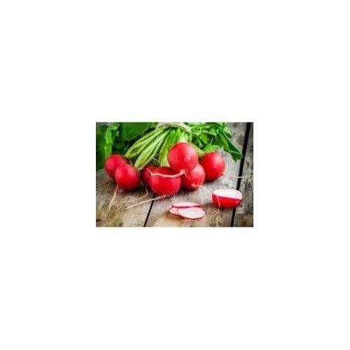 German Giant Radish Vegetable Seeds for Planting [neera-v5-2727c2a71ad69944806a]