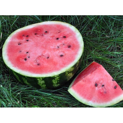 Dakota Rose Watermelon Fruit Seeds for Planting [neera-v5-2741c096d94a2adcb451]