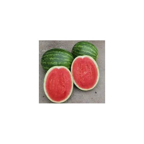 Miniature Passion Fruit Seeds [neera-v5-27494ea7ce31abff3103]