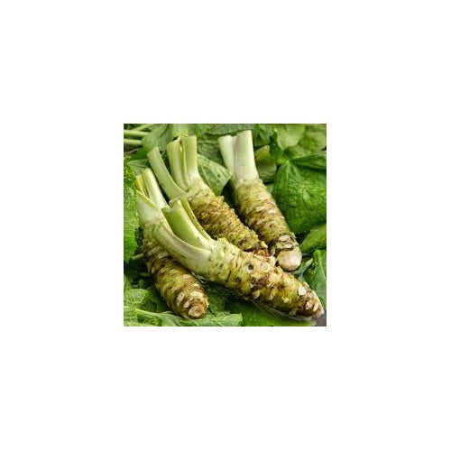 Horseradish Herb Seeds [neera-v5-27fd8352ae2d17c81643]