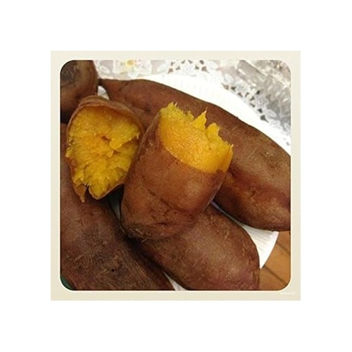 Yellow Batatas Potato Vegetable Seeds for Planting [neera-v5-288607255b915e8bbb25]