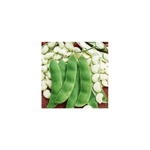 Green Lima Bean Vegetable Seeds for Planting [neera-v5-28f221cc3414f674b81e]