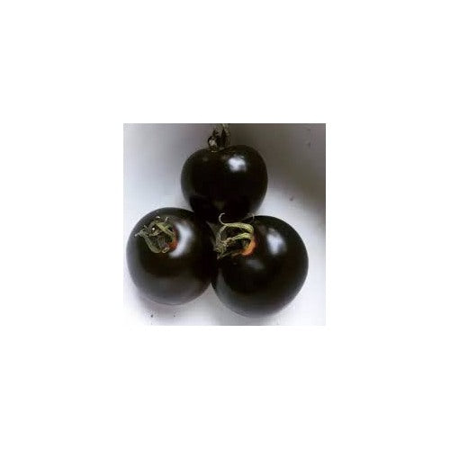 Black Tomato Seeds for Planting [neera-v5-297401ebbe2f969dc414]