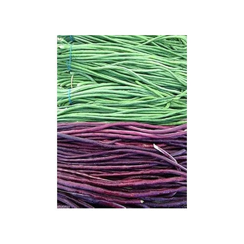 Green Violet Bean Vegetable Seeds for Planting [neera-v5-2a8b34c26767a10b7120]