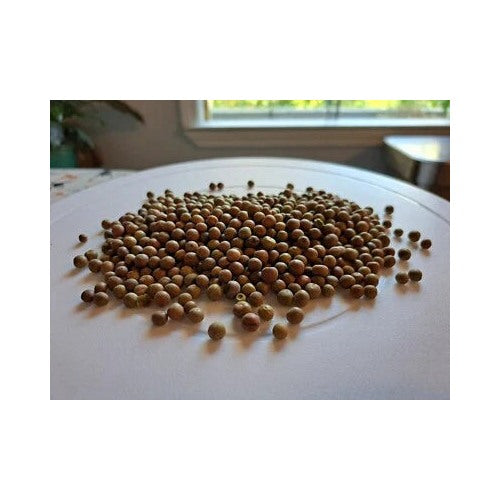Austrian Winter Pea Pisum Sativum Nitrogen Fixing Cover Crop Planting Pound Heirloom Non Gmo [neera-v5-2aa904cd10139889374f]