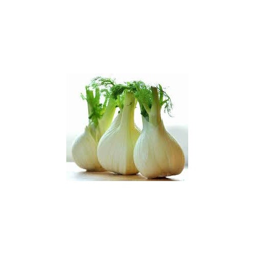 Florence Fennel Seeds for Planting [neera-v5-2ac8e0d4a9111824fd54]