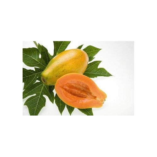 Papaya Fruit Seeds for Planting [neera-v5-2b125183ae460fb620db]