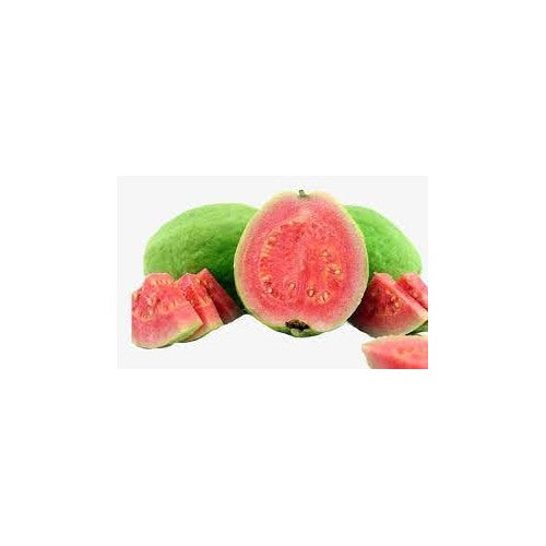 Red Guava Fruit Seeds for Planting [neera-v5-2b2cd63fbd319d76499f]