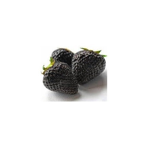 Black Strawberry Fruit Seeds for Planting [neera-v5-2b9ef795e28bf15bc26d]