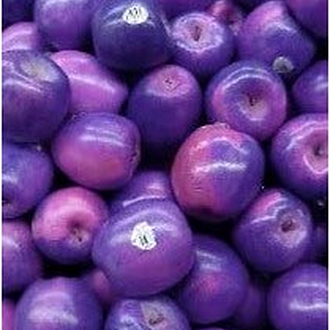 Purple Apple Fruit Seeds for Planting [neera-v5-2cb17ab43fbb1657d2a3]