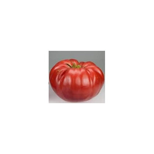 Huge Dark Red Tomato Seeds for Planting [neera-v5-2d52a110993b74b0bcaf]