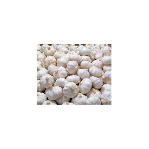 Garlic Plant Seeds for Planting [neera-v5-2e5ba813ec924e36a1db]