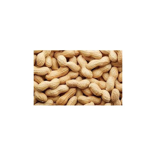 Spanish Peanut Vegetable Seeds for Planting [neera-v5-2e63e55000bb849c20e3]