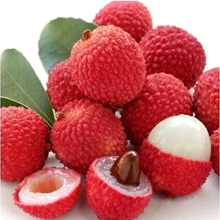Red Lychee Fruit Seeds for Planting [neera-v5-2e685773b88a08ec3286]