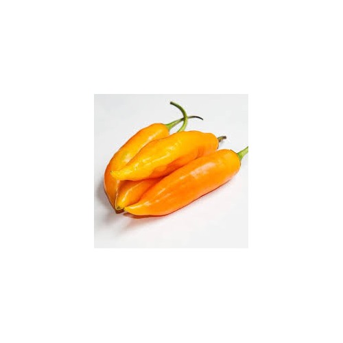 Aji Amarillo Seeds for Planting [neera-v5-2ec2cbdea6f45669e5ec]