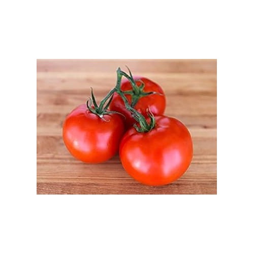 Red Tomato Seeds for Planting [neera-v5-2ee8e2279395e5da6652]
