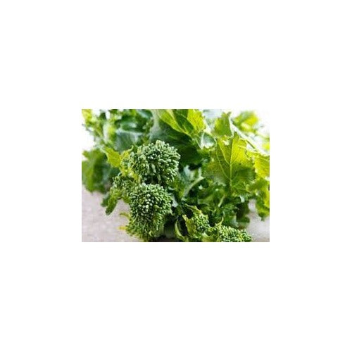 Broccoli Raab Seeds for Planting [neera-v5-2f465f700857b24e0ece]