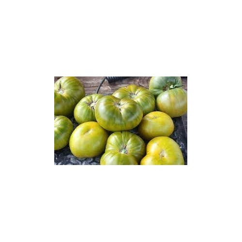 Heirloom Tomato Vegetable Seeds for Planting [neera-v5-2fd7dbad47e6b9b4a345]