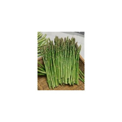 Asparagus Mary Washington Seeds [neera-v5-2fdfeadb4001cced04cb]