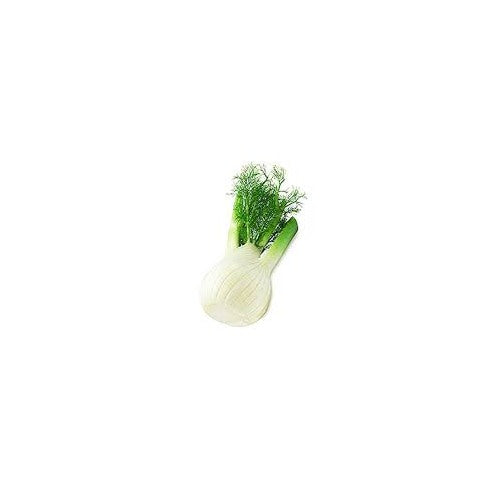 Florence Fennel Seeds for Planting [neera-v5-302471de5f15ae1541da]