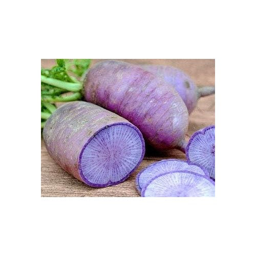 Heirloom Radish Vegetable Seeds for Planting [neera-v5-3068aef59fab9b24d2da]