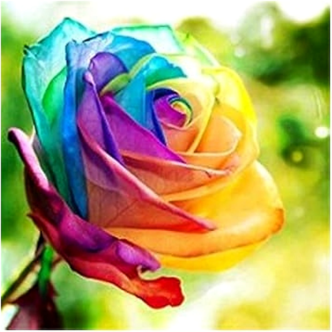Rainbow Rose Plant Seeds for Garden [neera-v5-306cf4a6a5607dddba12]