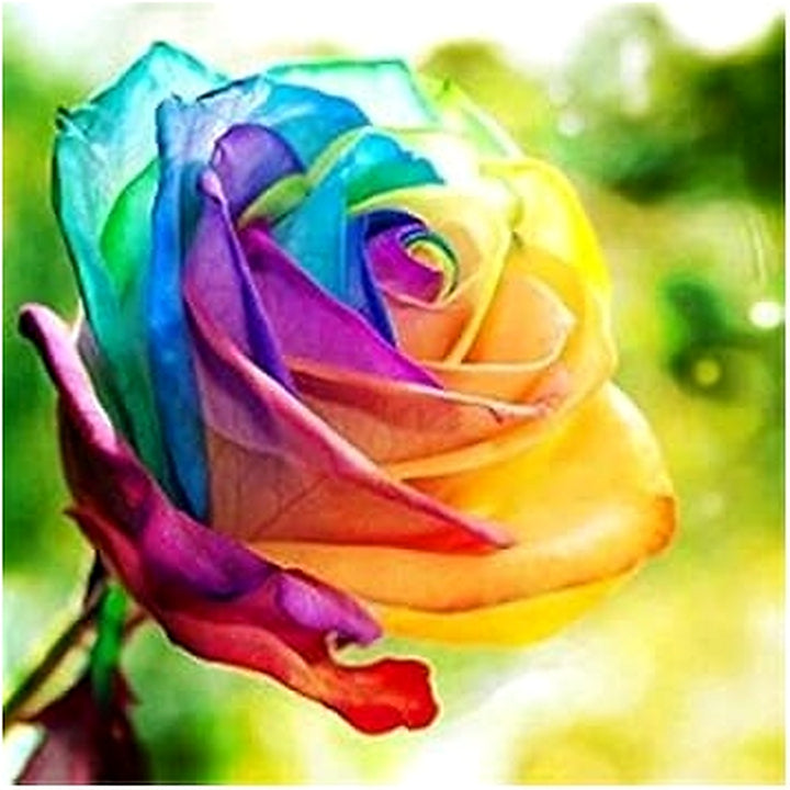 Rainbow Rose Plant Seeds for Garden [neera-v5-306cf4a6a5607dddba12]