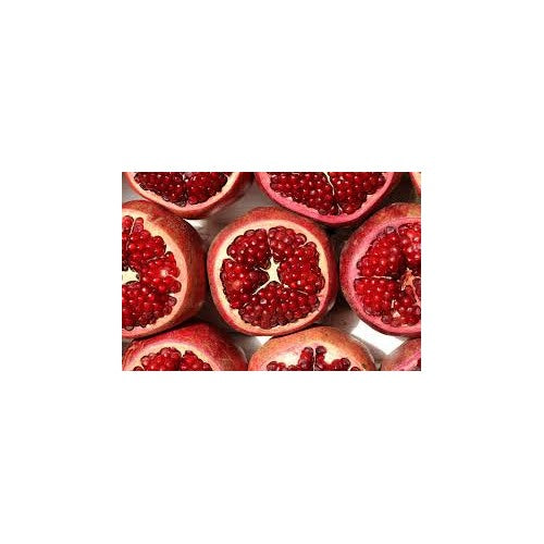 Maroon Pomegranate Fruit Seeds for Gardening [neera-v5-3151176f20b4dd53e12f]